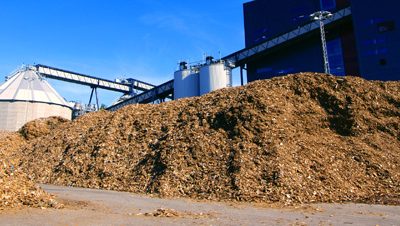 AAP BCIAT : financement de la biomasse