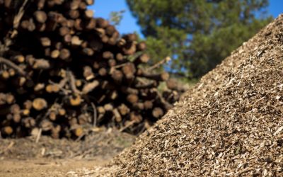Qu’est-ce que la biomasse ?